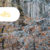 2020_12_header_gsk_newsletter3