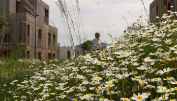 BROT_Pressbaum_Blumen-a.scheurer BROT_Pressbaum